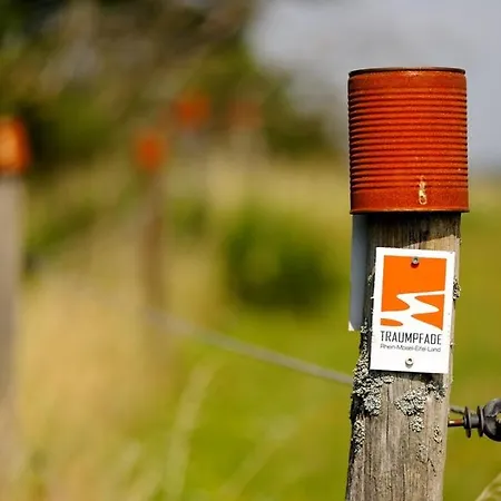 Hotel-restaurant Peifer Hotel 3*