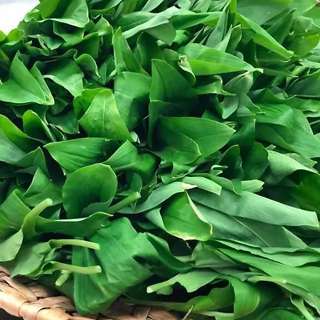 Hotel Hotel-restaurant Peifer