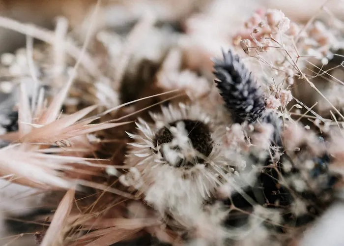 Hotel-restaurant Peifer 3*