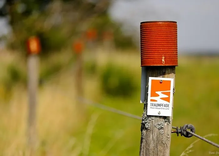 Hotel-restaurant Peifer فندق 3*