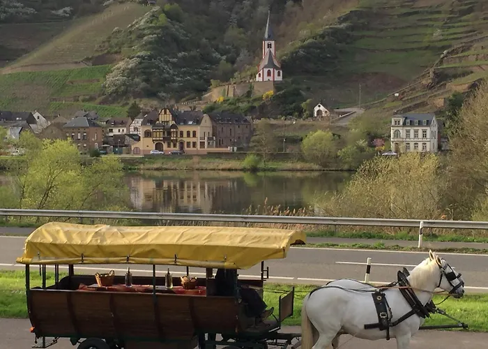 فندق Hotel-restaurant Peifer برودنباخ