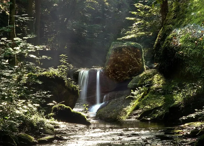 Hotel-restaurant Peifer فندق برودنباخ