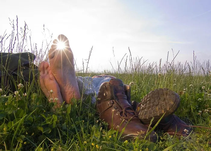 Hotel Hotel-restaurant Peifer 3*