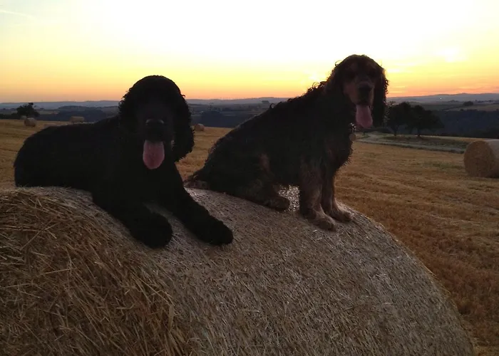 Hotel-restaurant Peifer 3*