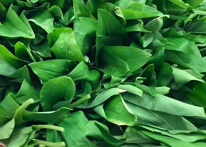 Hotel Hotel-restaurant Peifer